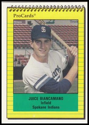 3953 Juice Biancamano